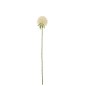 Fleur d’allium artificielle sur tige en plastique blanc 44x7x7 cm Fleur d’allium artificielle sur tige en plastique blanc 44x7x7 cm