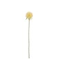 Fleur d’allium artificielle sur tige en plastique jaune 44x7x6 cm Fleur d’allium artificielle sur tige en plastique jaune 44x7x6 cm