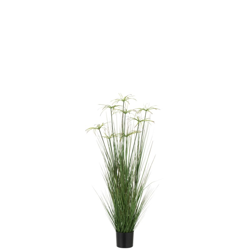 Cyperus alternifolius 8 têtes en pot en plastique vert 30x30x132 cm Cyperus alternifolius 8 têtes en pot en plastique vert 30x30x132 cm