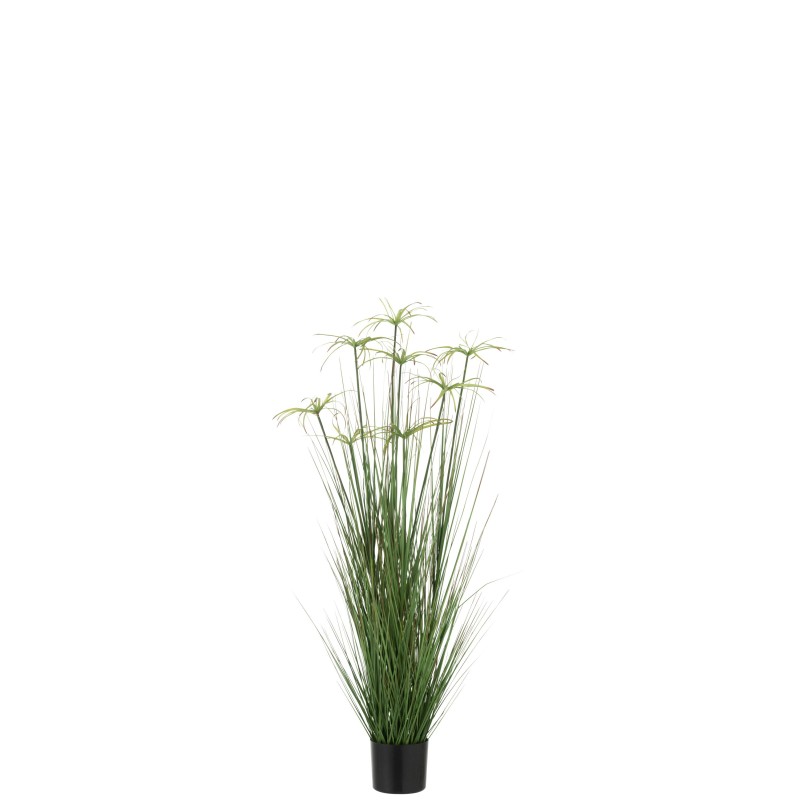 Cyperus alternifolius 8 têtes en pot en plastique vert 30x30x132 cm