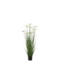 Cyperus alternifolius 8 têtes en pot en plastique vert 30x30x132 cm Cyperus alternifolius 8 têtes en pot en plastique vert 30x30x132 cm