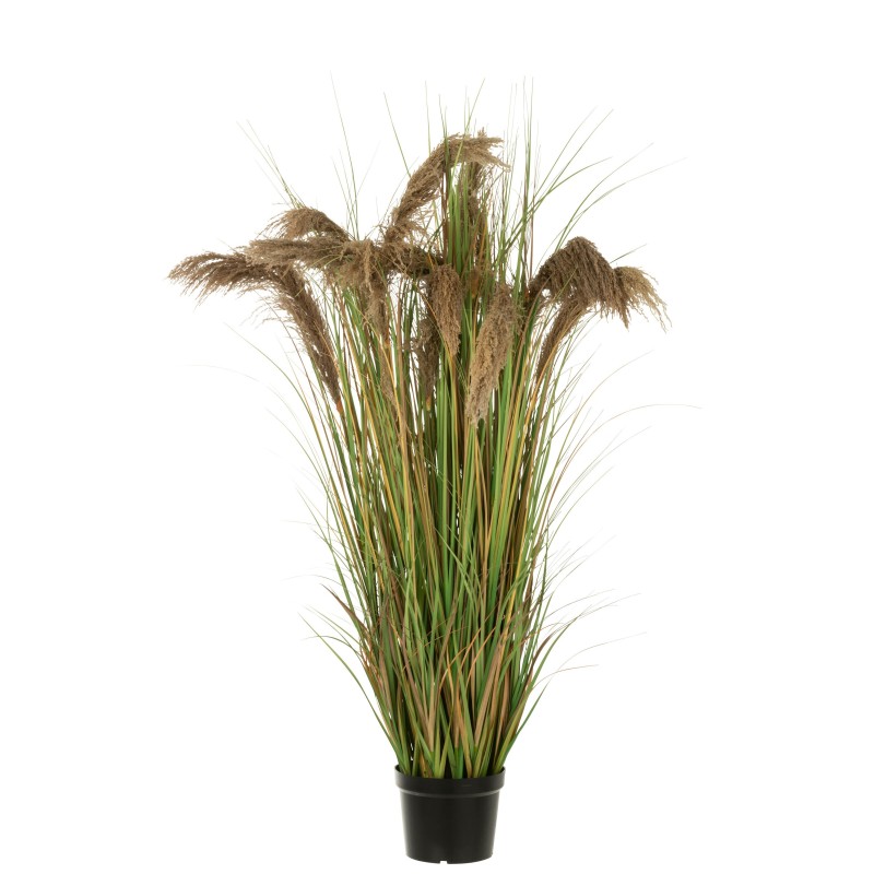 Herbe de pampas 13 têtes en pot en plastique vert 60x60x180 cm