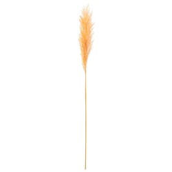 Branche de plumes de pampas en bois orange 8x3x127 cm