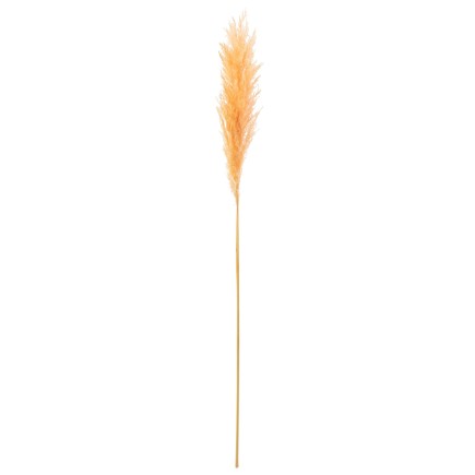 Branche de plumes de pampas en bois orange 8x3x127 cm