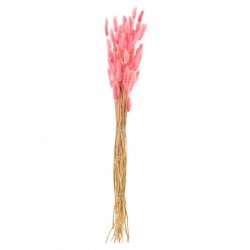 Bouquet de queue de lièvre séché en bois rose 82x15x3 cm