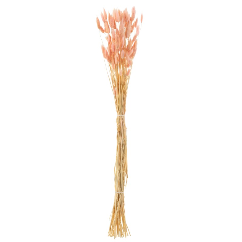 Bouquet de queue de lièvre séché en bois rose 82x15x3 cm