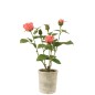 Rose 5 têtes en pot en textile rose 20x20x39 cm Rose 5 têtes en pot en textile rose 20x20x39 cm