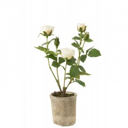 Rose 5 têtes en pot en textile blanc 20x20x39 cm