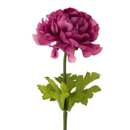 Fleur de renoncule en plastique mauve 10x10x53 cm