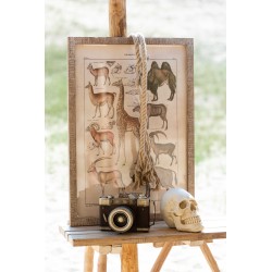 Crâne d'humain en résine beige 20x14x15 cm