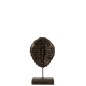 Tortue en résine bronze 19x11x36 cm Tortue en résine bronze 19x11x36 cm