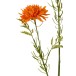 Fleur en plastique orange 18x6x71 cm Fleur en plastique orange 18x6x71 cm