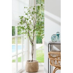 Plante  en plastique vert 74x74x192 cm