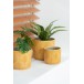 Macetero TROPICAL CERAMIQUE OCRE MEDIUM Macetero TROPICAL CERAMIQUE OCRE MEDIUM