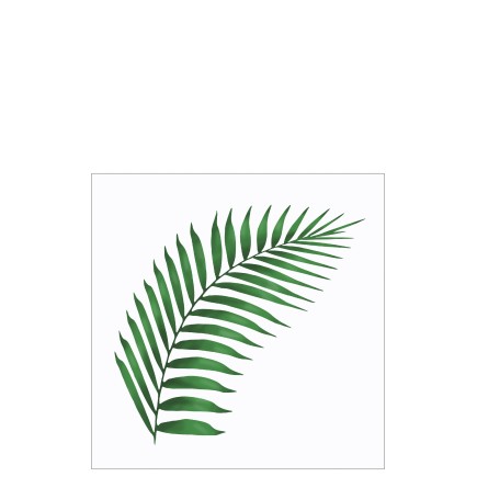 Lote de 20 servilletas con hoja de helecho en papel blanco y verde 16.5x16.5