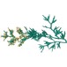 Branche de sapin enneigé en plastique azur 38x25x78 cm