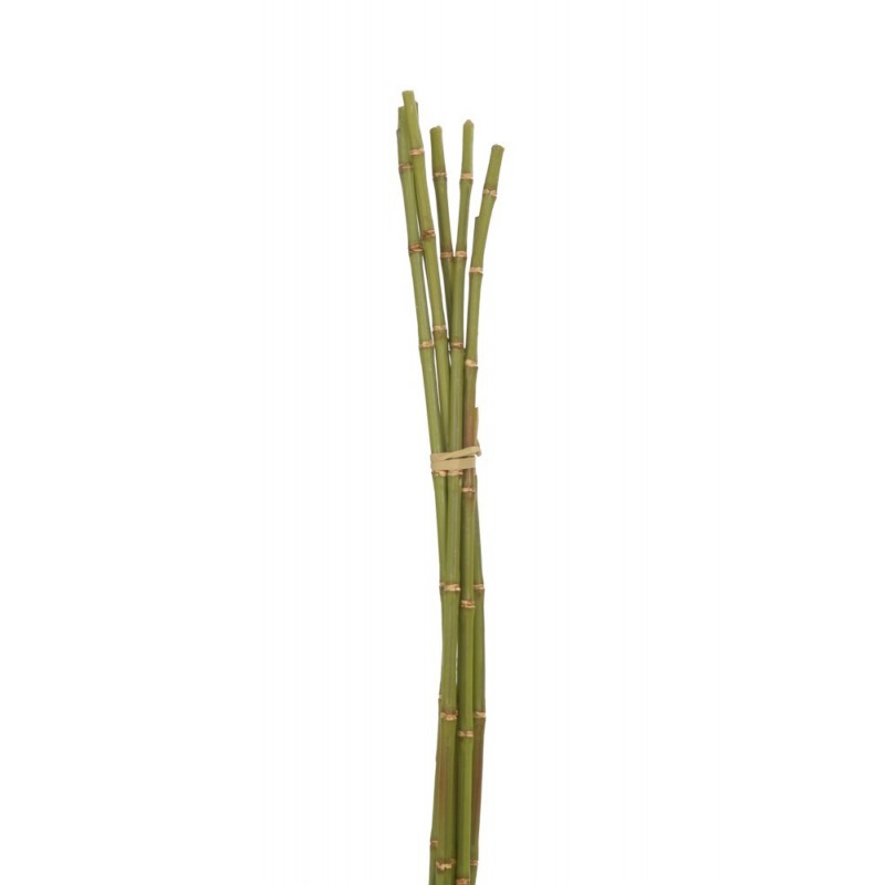 bambou botte vert s