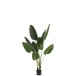 Plante artificielle en Plastique Vert 33x33x165cm