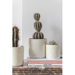 Cactus artificiel en pot 26x9x9 cm lot de 2