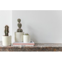 Cactus artificiel en pot 26x9x9 cm lot de 2