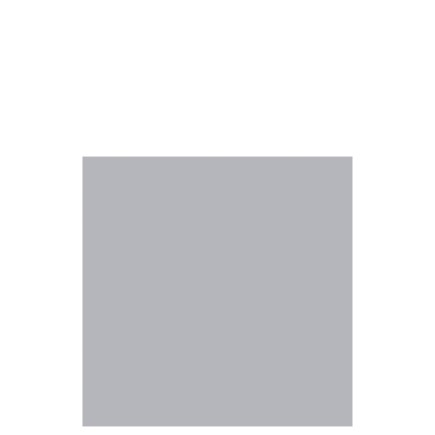 Lot de 12 serviettes effet tissu en papier argent 20x20
