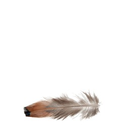 Sachet de 30g de plumes marron 24x24x1.5 cm