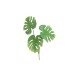 Feuille de philodendron en plastique vert 15x12x28 cm Feuille de philodendron en plastique vert 15x12x28 cm