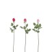 Conjunto de 3 rosas artificiales cerradas de plástico Fucsia 10x10x74 cm Conjunto de 3 rosas artificiales cerradas de plástico Fucsia 10x10x74 cm