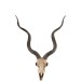 CRANE CHEVRE RESINE MARRON