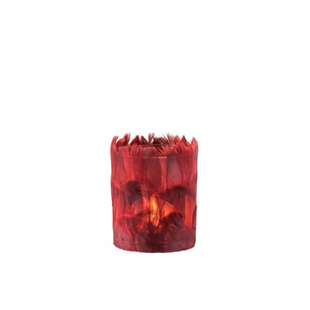 Photophore en verre - Plumes Bordeaux 8x8x9 cm