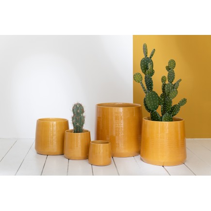 Cactus artificiale in vaso di cemento grigio H66cm