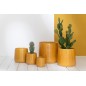 Cactus artificiale in vaso di cemento grigio H66cm
