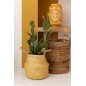 Cactus artificiale in vaso di cemento grigio H66cm