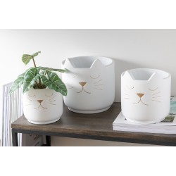 Cache-pot en ciment blanc tête de chat doré H19cm