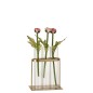 Soliflore en métal doré avec 3 tubes en verre L11*l7*11cm Soliflore en métal doré avec 3 tubes en verre L11*l7*11cm