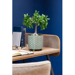 Vaso di fiori in ceramica verde su gambe D. 16,5 cm