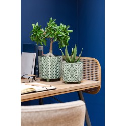 Vaso di fiori in ceramica verde su gambe D. 16,5 cm