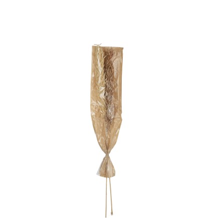 Récolte décoration en roseau naturel 21x2x95 cm