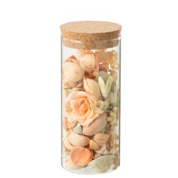 DRIED FLOW+PINE PEACH GL ORAN
