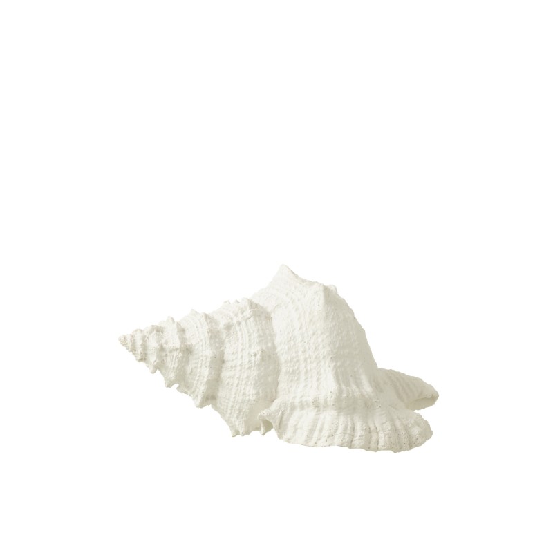 Concha de poyresina blanca 15x17x13 cm