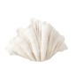 Jarrón concha en poliresina blanca 57x31x36 cm Jarrón concha en poliresina blanca 57x31x36 cm