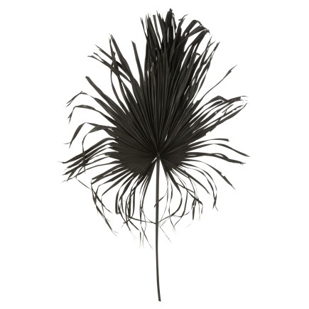 Hoja de palma decorativa de madera negra 60x2x180 cm