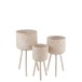 Set di 3 fioriere su base in legno naturale 37x37x76 cm Set di 3 fioriere su base in legno naturale 37x37x76 cm