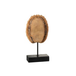 Carapace de tortue sur pied resine marron large