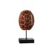 Carapace de tortue sur pied resine marron large