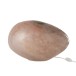 Lâmpada oval em vidro rosa 40x30x24 cm