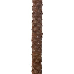 Palmier artificiel avec noix en Plastique Vert 190x190x350cm