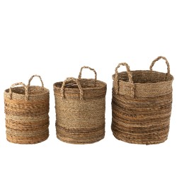 Set de 3 paniers ronds en raphia naturel D31 à 42cm