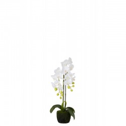 Orchidée en plastique blanc 20x19.5x58 cm