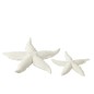 STARFISH POLYRESIN WHITE LARGE